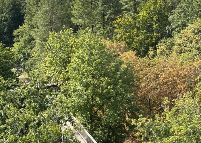 Lägenhet Zum Leuktal